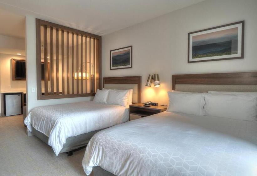 适合残疾人使用的标准间, Holiday Inn & Suites Pigeon Forge Convention Center, An Ihg