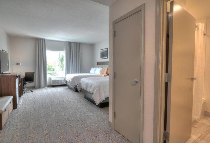 带2个双人床的标准工作室, Holiday Inn & Suites Pigeon Forge Convention Center, An Ihg