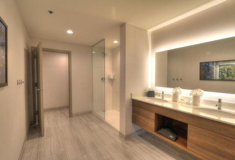 可观景的套房, Holiday Inn & Suites Pigeon Forge Convention Center, An Ihg
