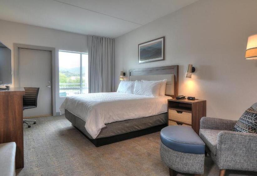 带大床的标准间, Holiday Inn & Suites Pigeon Forge Convention Center, An Ihg
