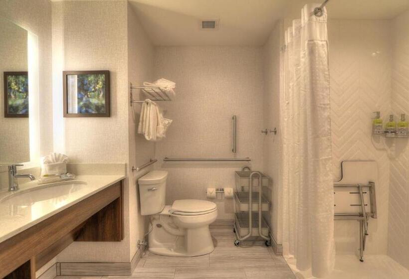 适合残疾人使用的标准间, Holiday Inn & Suites Pigeon Forge Convention Center, An Ihg