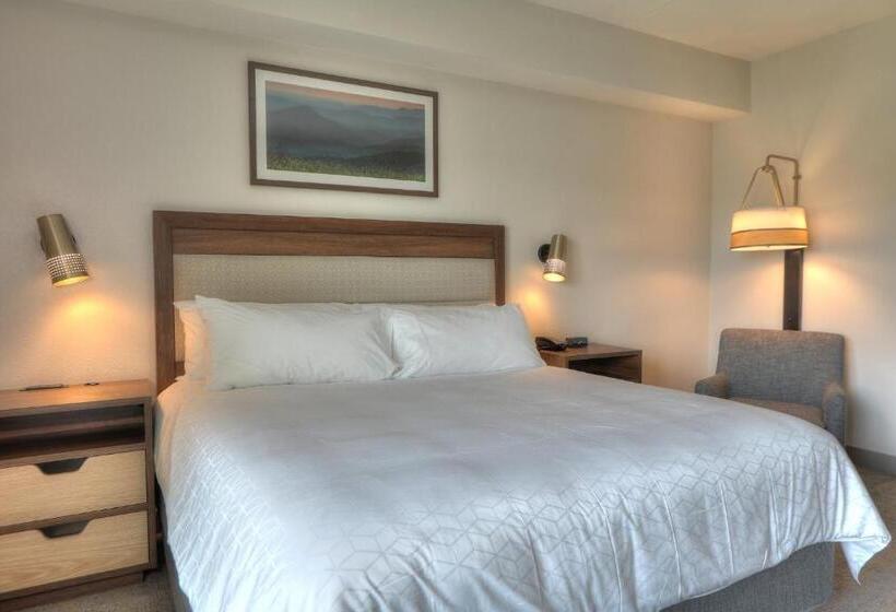 适合残疾人使用的标准间, Holiday Inn & Suites Pigeon Forge Convention Center, An Ihg