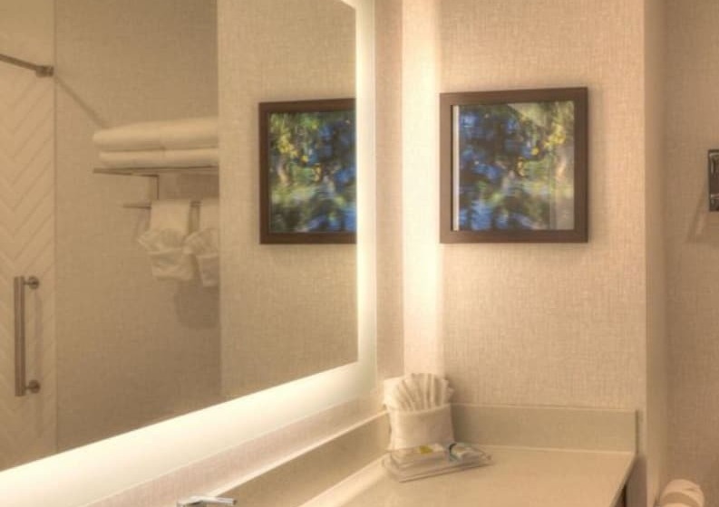 可观景的套房, Holiday Inn & Suites Pigeon Forge Convention Center, An Ihg
