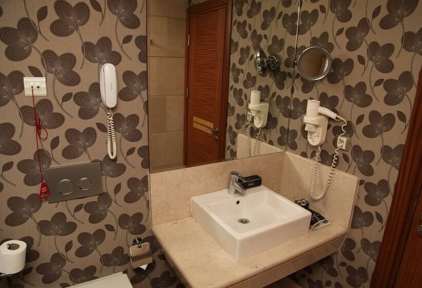 اتاق استاندارد, Armi̇s