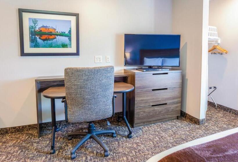 اتاق استاندارد, My Place Hotel Wenatchee, Wa