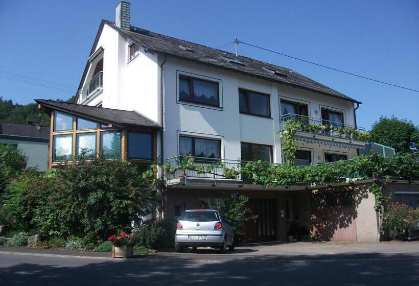带1个卧室带观景的公寓, Appart Pension Schier