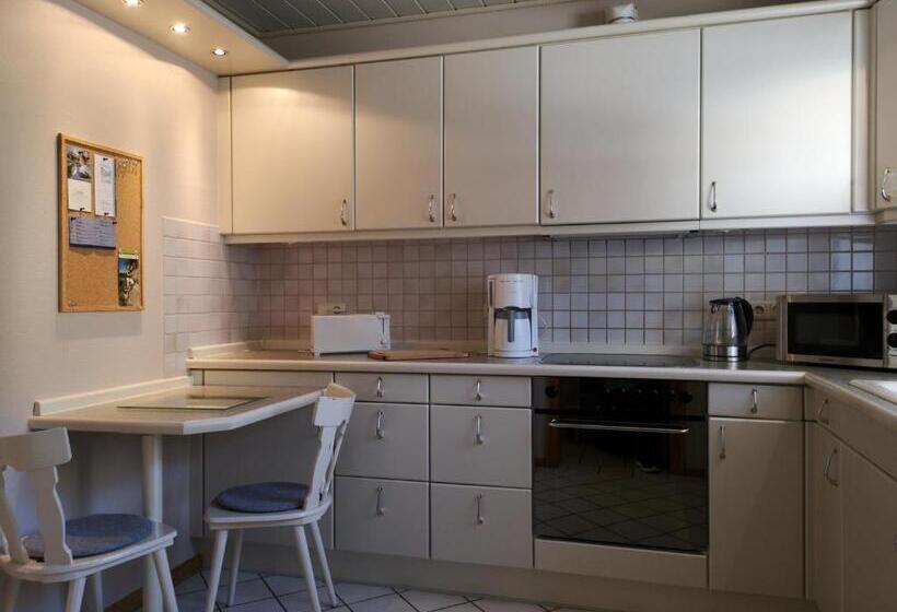 带2个卧室的公寓, Appart Pension Schier
