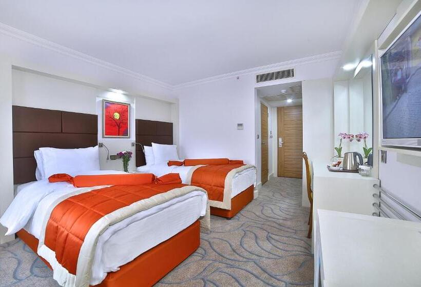 Cameră Triplă Standard, Elazığ Marathon