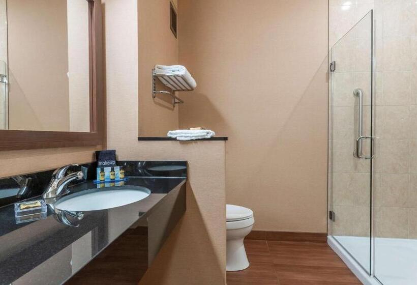 スイート, Best Western Plus, Bathurst Hotel & Suites