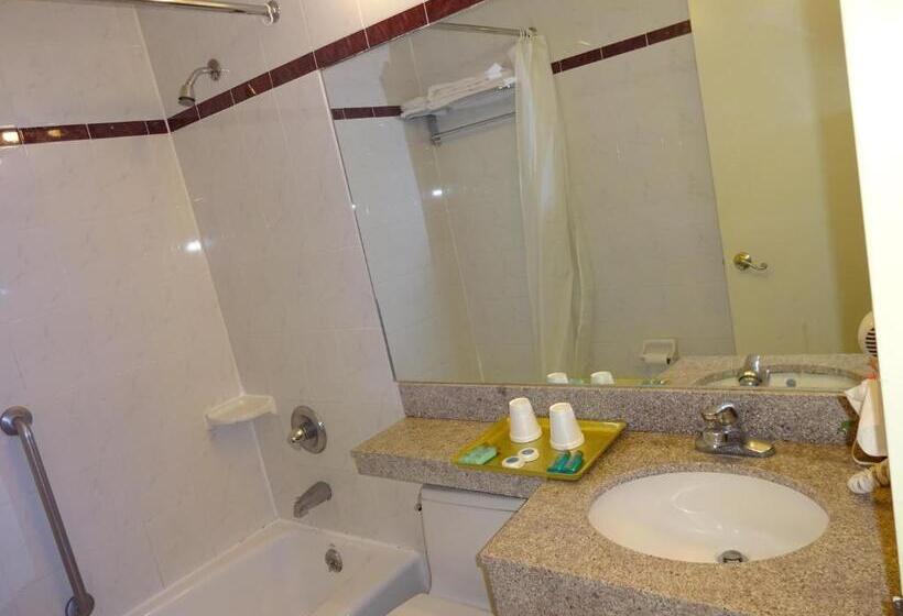 带2个双人床的标准工作室, Flushing