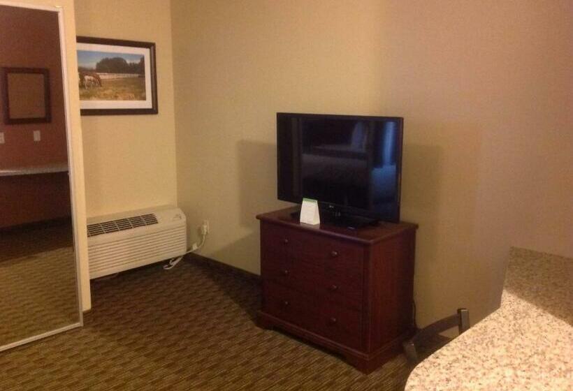 キングサイズベッドのスタンダードルーム, Best Western North Edge Inn