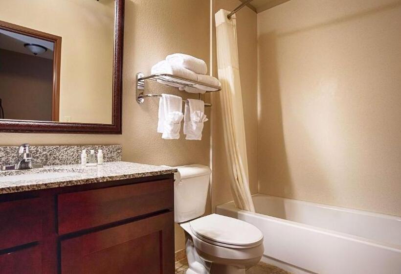 キングサイズベッドのスタンダードルーム, Best Western North Edge Inn