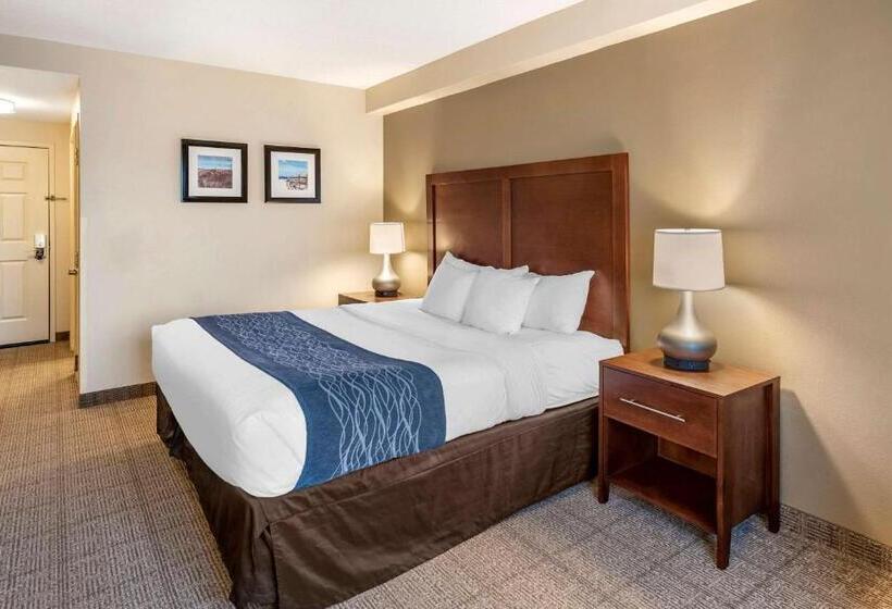 带大床的标准间, Comfort Inn & Suites Virginia Beach   Norfolk Airport