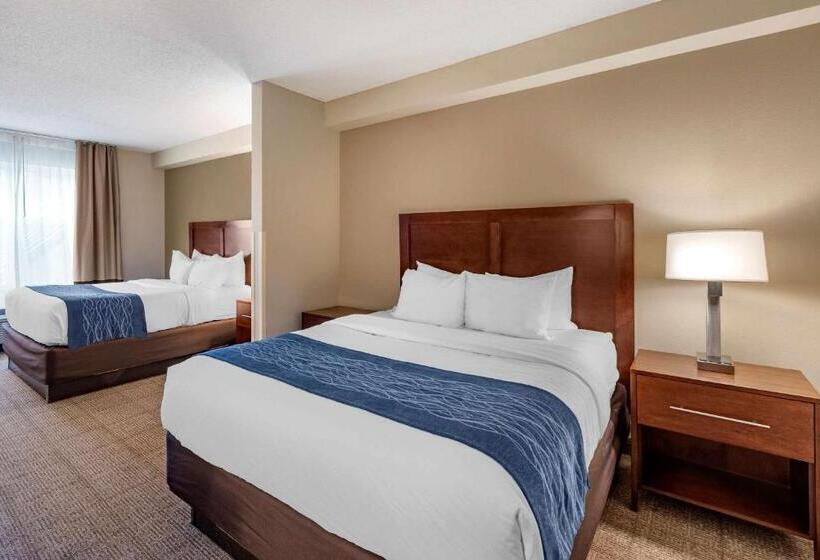 标准间, Comfort Inn & Suites Virginia Beach   Norfolk Airport