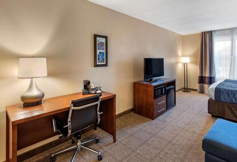 带大床的套房, Comfort Inn & Suites Virginia Beach   Norfolk Airport
