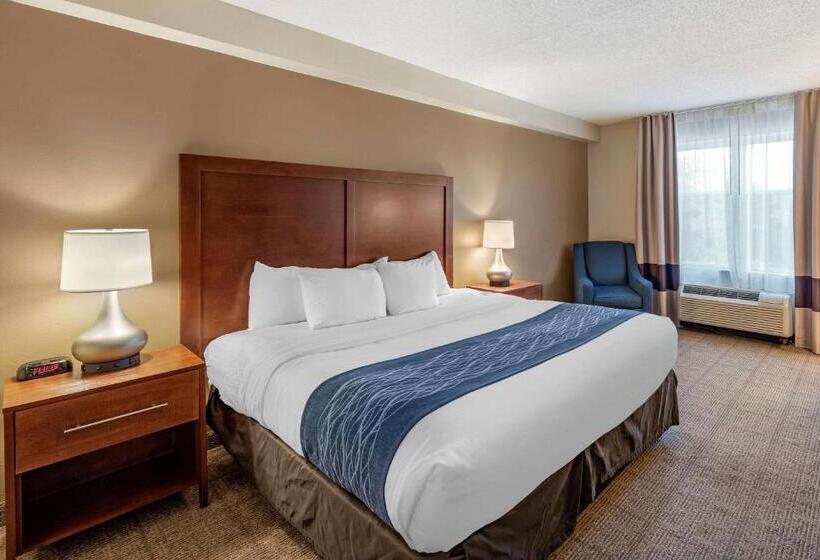 适合残疾人士使用的带超级大床的标准间, Comfort Inn & Suites Virginia Beach   Norfolk Airport