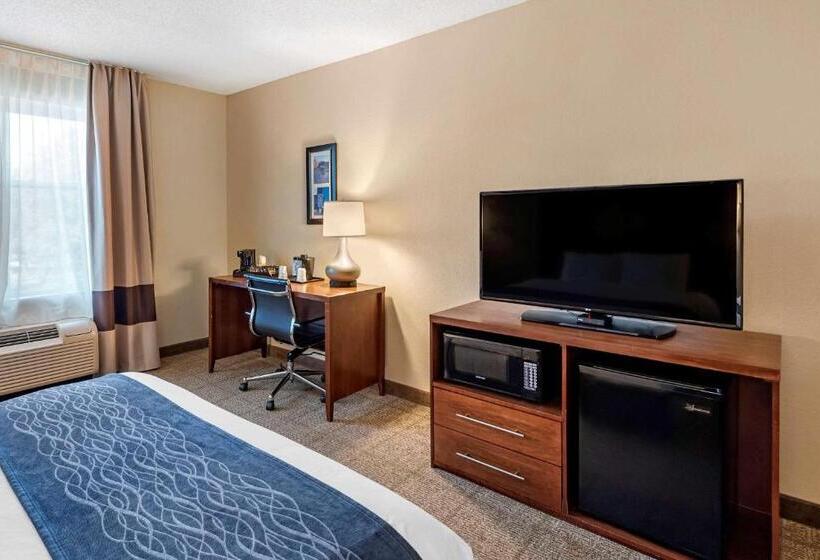 适合残疾人使用的标准间, Comfort Inn & Suites Virginia Beach   Norfolk Airport