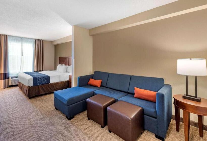 适合残疾人士使用的套间, Comfort Inn & Suites Virginia Beach   Norfolk Airport