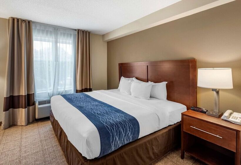 套房, Comfort Inn & Suites Virginia Beach   Norfolk Airport