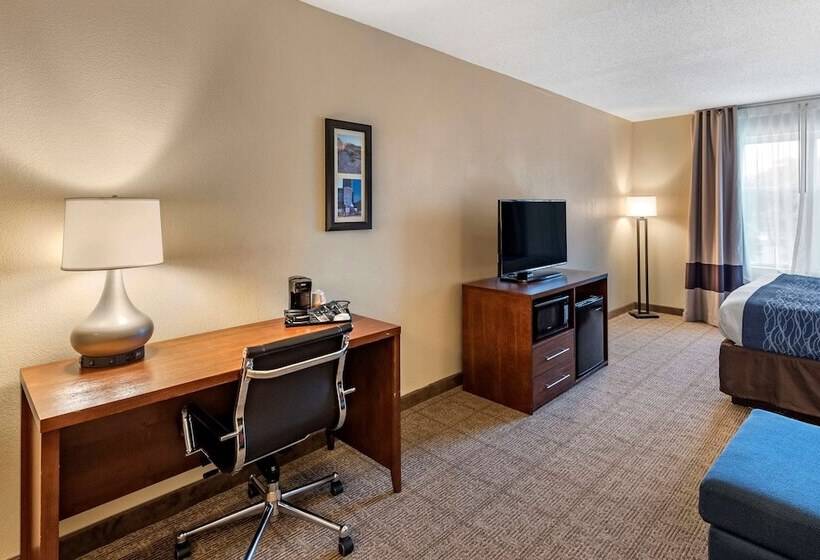 适合残疾人士使用的套间, Comfort Inn & Suites Virginia Beach   Norfolk Airport