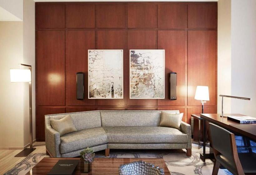 سوییت, Park Hyatt New York
