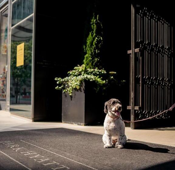 سوئیت پرزیدنت, Park Hyatt New York