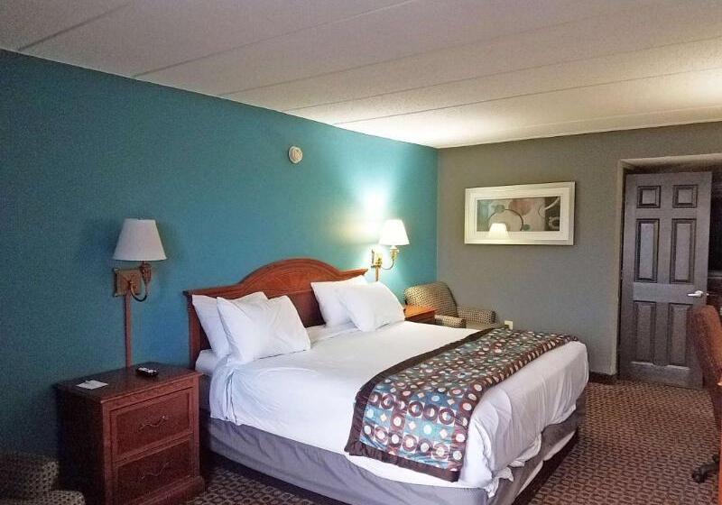 Стандартный Номер Кровать Кинг, Americas Best Value Inn St. Louis Downtown