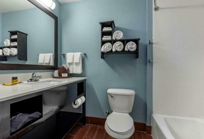 Люкс Кровать Кинг, Best Western Plus North Odessa Inn & Suites