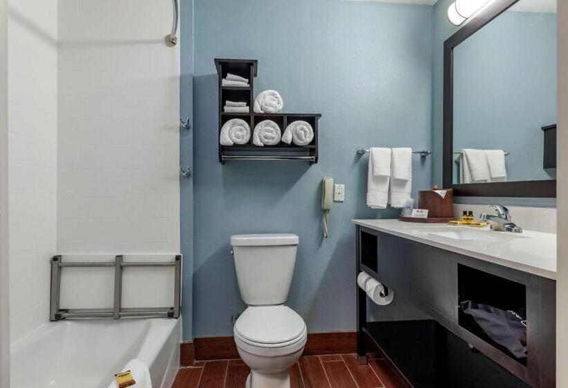 Номер Стандарт Адаптированный для Инвалидов, Best Western Plus North Odessa Inn & Suites