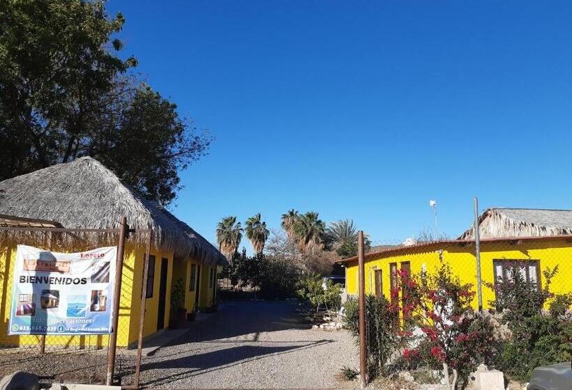 Номер Стандарт Трехместный, Loreto La Regional