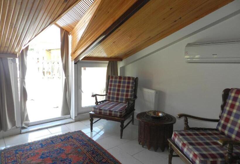 テラス付スーペリアルーム, Guest House   Grandma S House