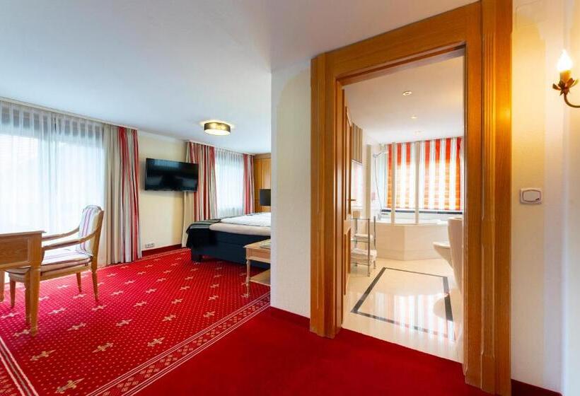 Студия Стандарт, Alpin & Wellness Resort Hotel Ludwig Royal