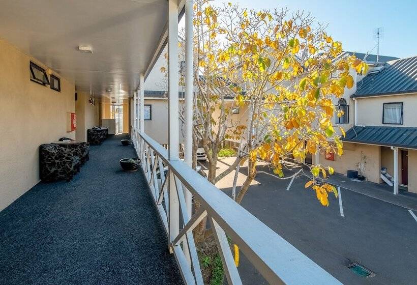 스탠다드 스튜디오, Auckland Newmarket Motel