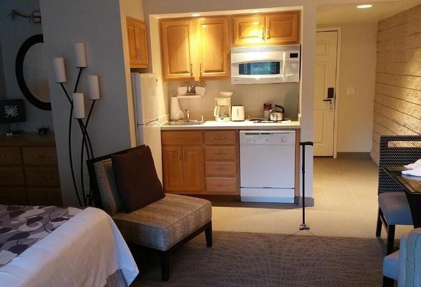 Студия Стандарт, Getaways At Palm Springs Tennis Club