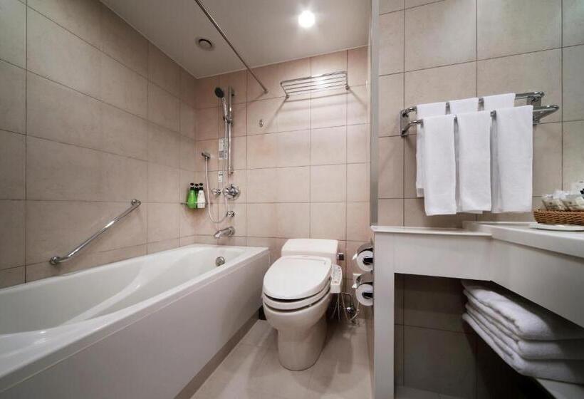 Chambre Standard Individuelle, Metropolitan Sendai