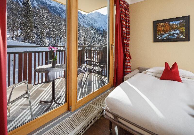 اتاق استاندارد با چشم‌انداز کوهستان, Beausite Park Hotel & Spa