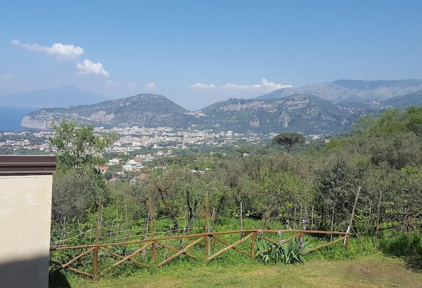 Апартаменты Basic 1 Спальня, Gli Ulivi Agriturismo