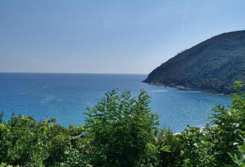 Студия Стандарт Вид на Море, Residence Mondial