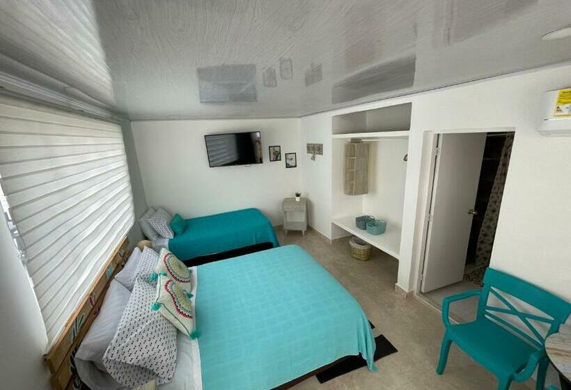 Номер Стандарт, Kalathea Casa