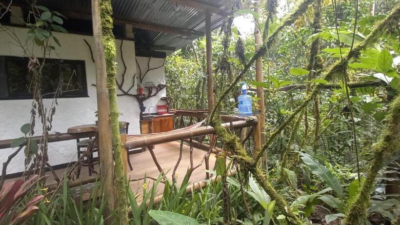Deluxe Suite, Cantalarana, Antes Wikiri Lodge
