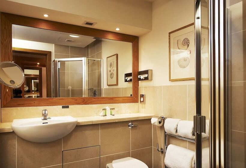 Номер Стандарт Трехместный, Ballymascanlon Hotel And Golf Resort