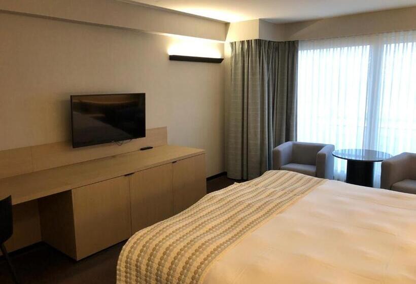 家庭海景房, Beach Palace
