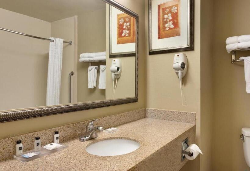 Стандартный Номер Кровать Кинг, Country Inn & Suites By Radisson, Goodlettsville, Tn