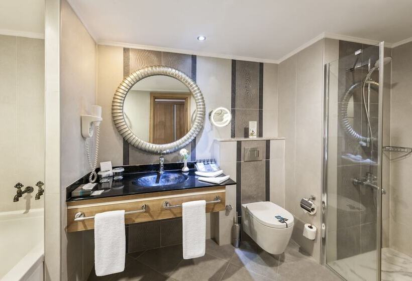 디럭스 룸, Ng Afyon Wellness & Convention
