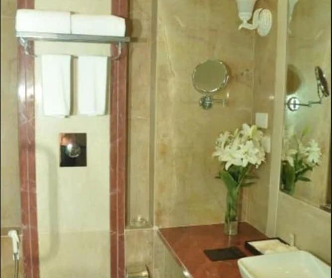 Номер Superior, Royal Tulip Navi Mumbai
