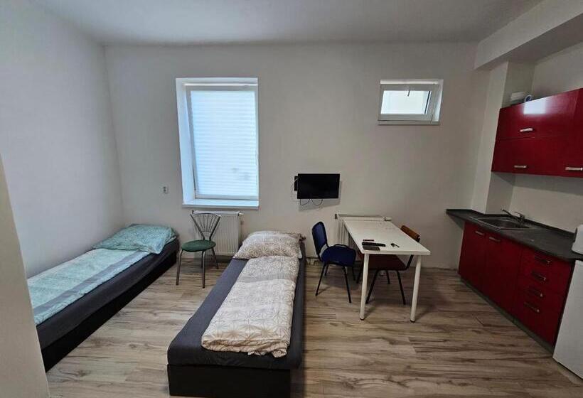Standard Neljän Hengen Huone, Ubytování Střekov Aréna
