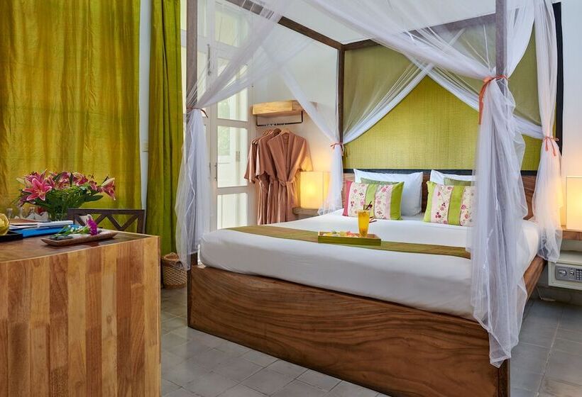 غرفة قياسية ثلاثية, Blue Lime