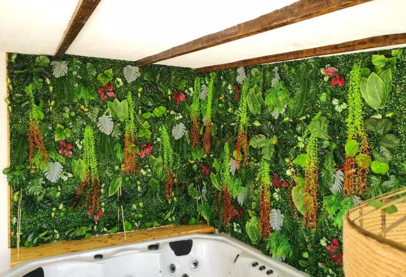 Номер Deluxe, V&spa 2 Chambres D Hôtes Avec Spa Privatif Dont Une Avec Un Sauna