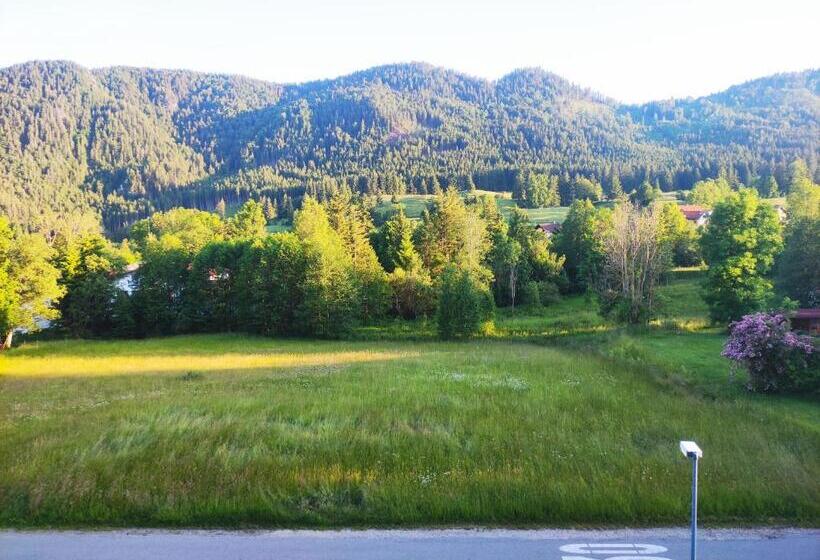 Номер Стандарт, Pension Weißer Hirsch