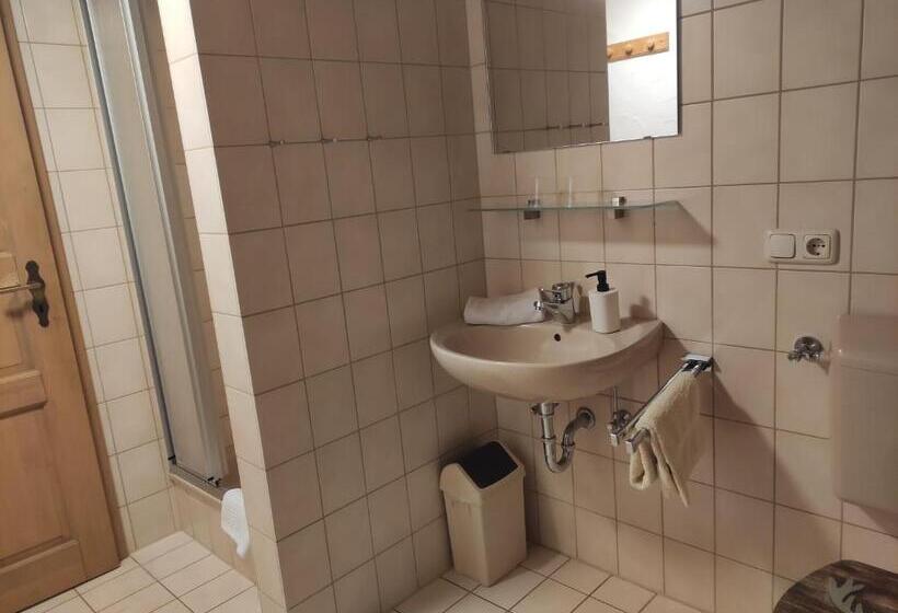 Апартаменты 2 Спальни, Pension Weißer Hirsch